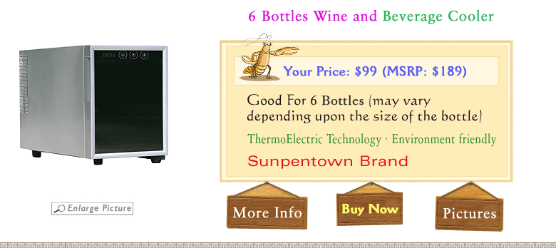 bottle wine cooler